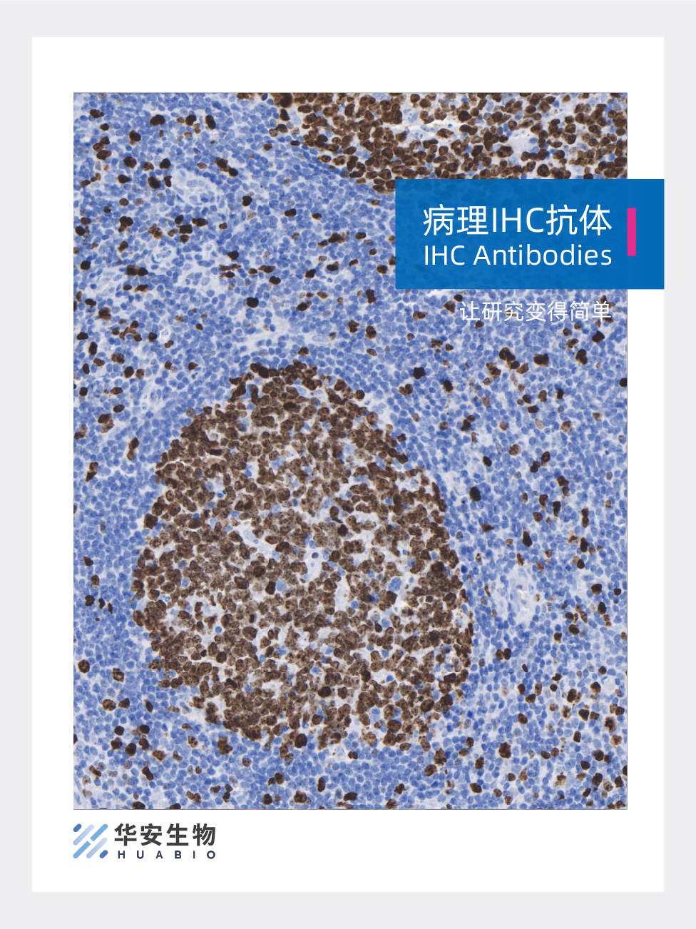 病理IHC抗体