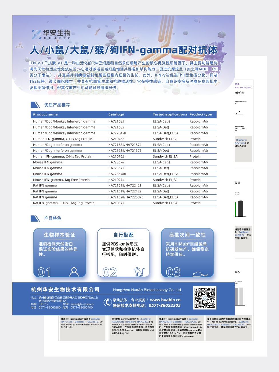 人/小鼠/大鼠/猴/狗IFN-gamma配对抗体