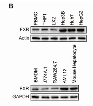 Liang Xue,et al-3.png