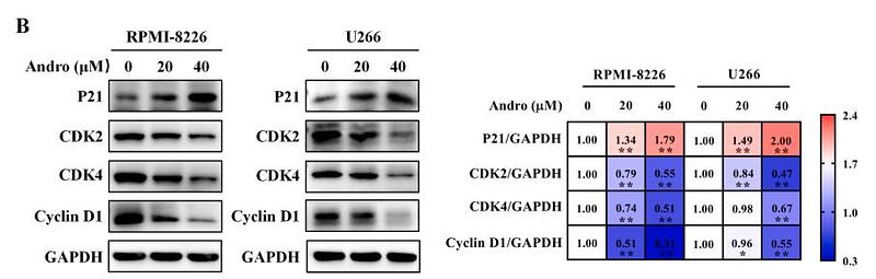 37172672 ET1601-4.jpg