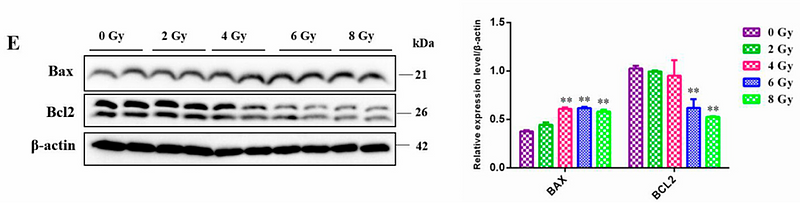 Cheng Yunyun,et al-2.png