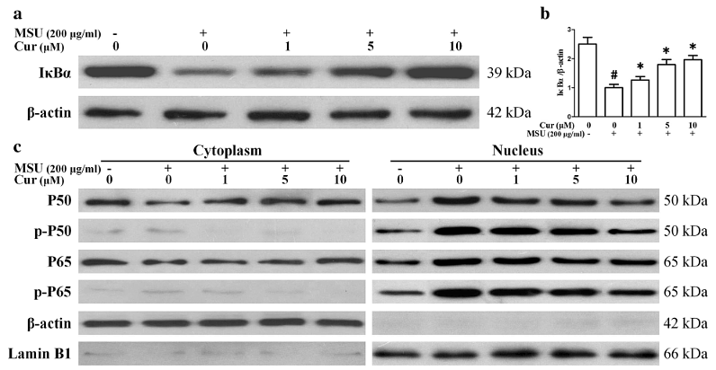 31455356 ET1606-27.png