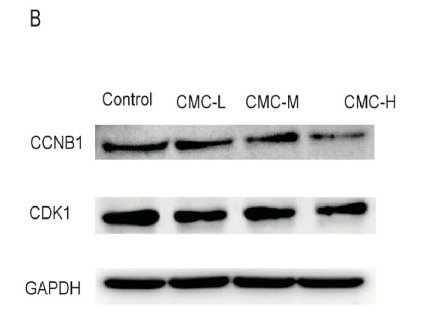 33932512 ET1601-4.png