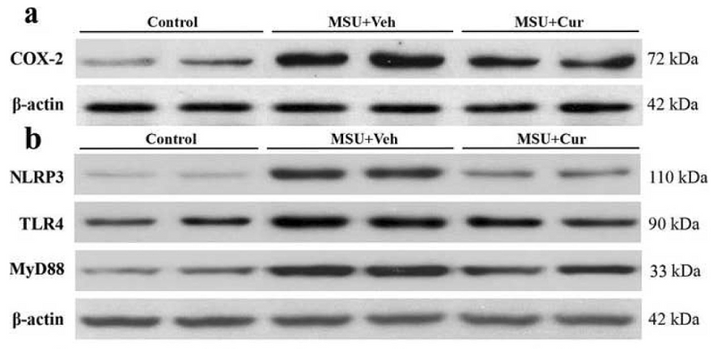 31455356 ET1610-93.png