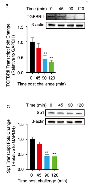 34281571 EM21002.png