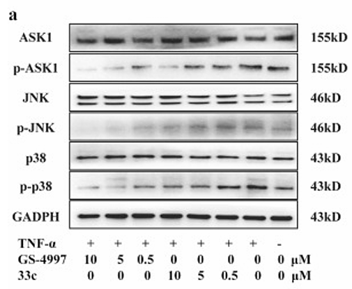 He Mengni,et al-2.png