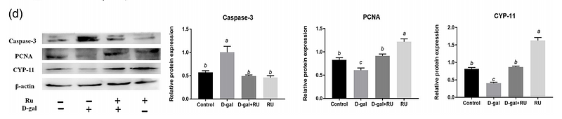 36378583 R1306-5.png