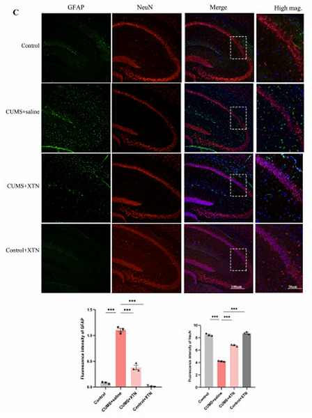 Wang Xiaohong,et al-6.png