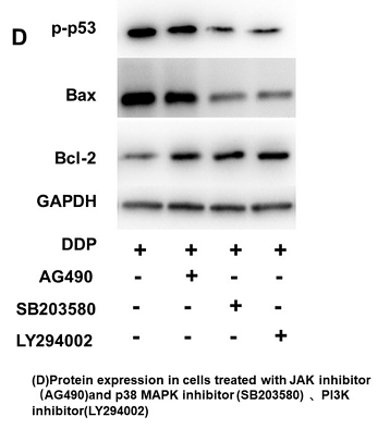 36719870 ET1603-34.png