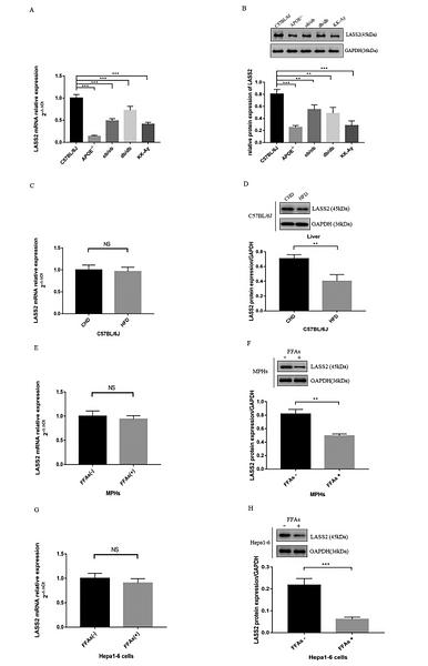 32279995 ET1601-4.png