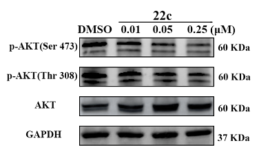 36986560 ET1601-4.png