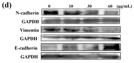 36473370 ET1607-37-1.png