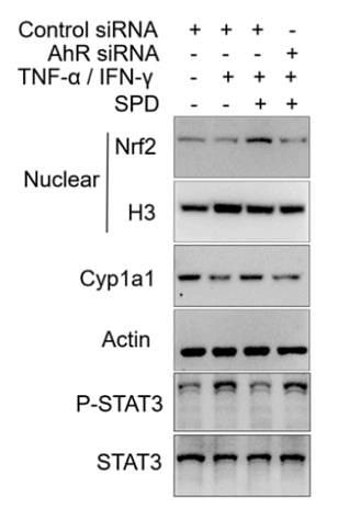 37104918 EM30605.jpg