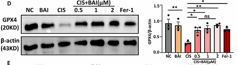 Guo Shanshan,et al-1.png