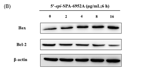 31099051 ET1603-34.png