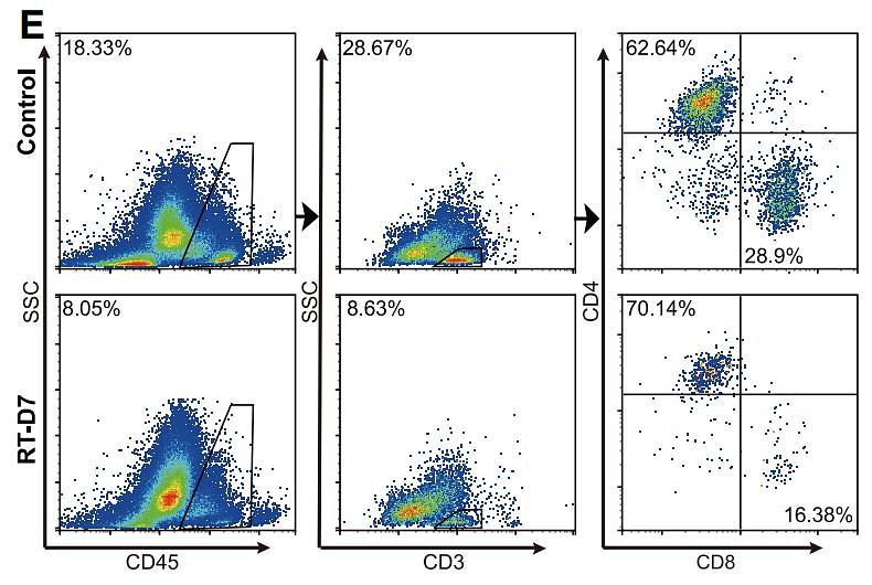 37073129 ET1606-31.jpg