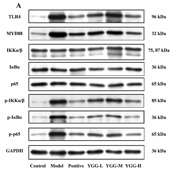 Fan Qiangqiang,et al-1.png