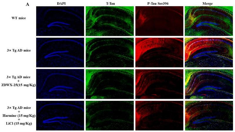 37004752 ET1611-68.jpg