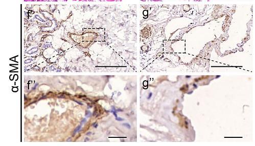 35916917 ET1607-43-1.jpg