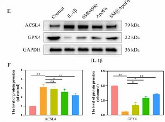 Deng Yuxin,et al-2.png