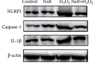 35132348 ET1610-93.tif