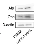 37250976 EM21002.png