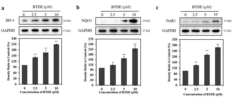 34573068 ET1601-4.png