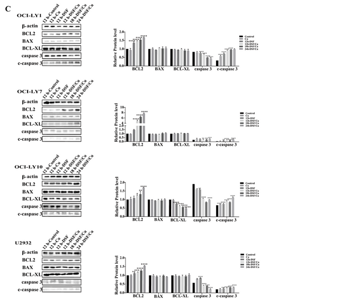 35883106 ET1603-34.png