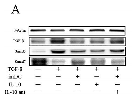 36608595 EM1709-93.png