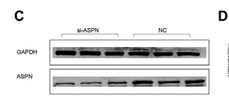 36394011 ET1601-4.png