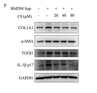 35749855 ET1609-68.jpg