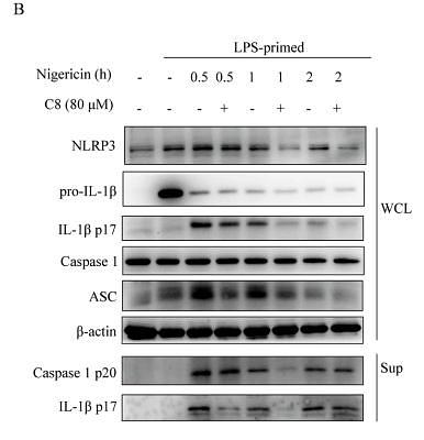 35749855 ET1610-93.jpg