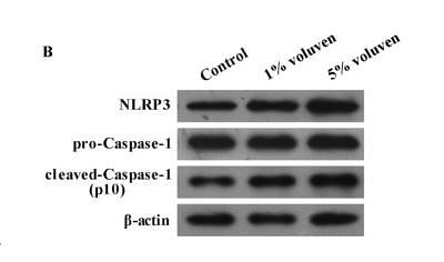 35413207 ET1610-93.jpg