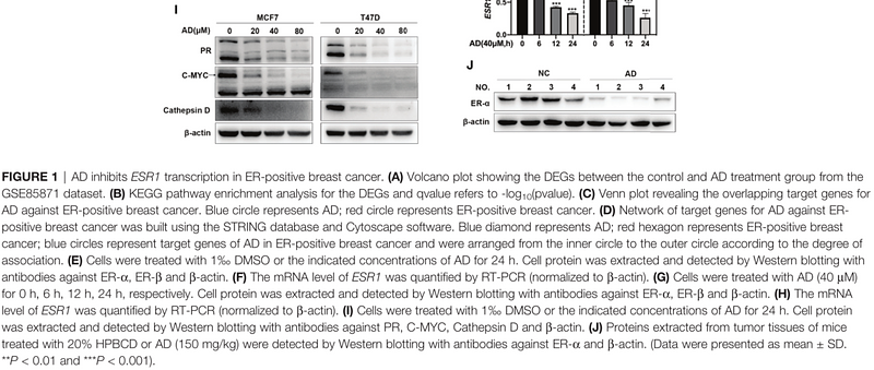 35615146 EM21002.png