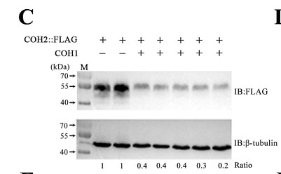 34347783 M1403-2-1.png