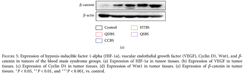 35711625 EM21002.png