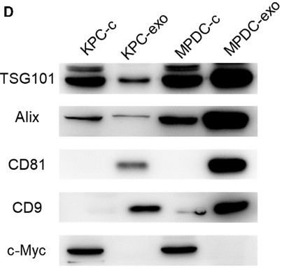 33907416 ET1601-9.png