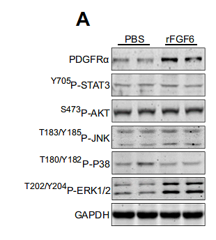 36607240 ET1601-4.png