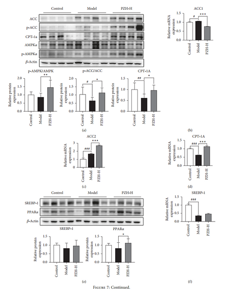 34158817 EM21002.png