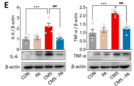 36682696 HA721143.png