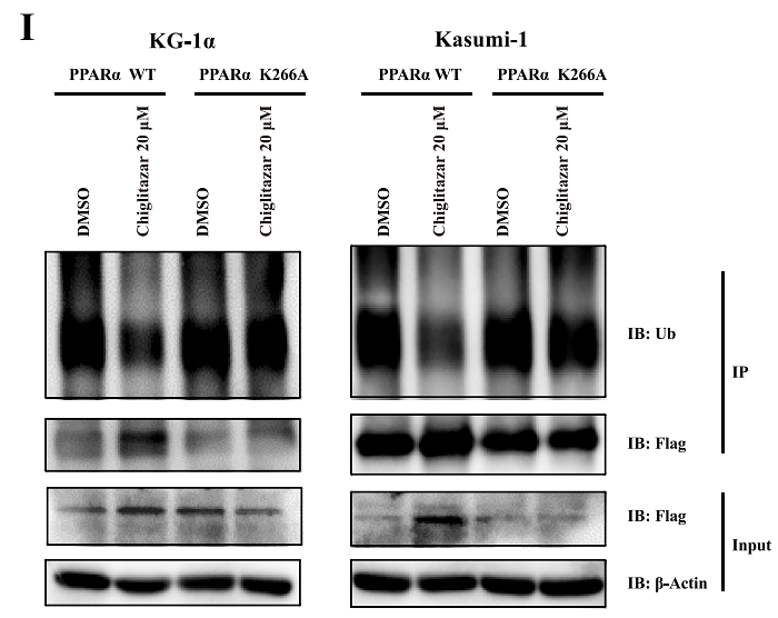 36396101 M1403-2.png