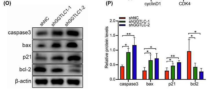 Tang Xiaolin,et al-2.png