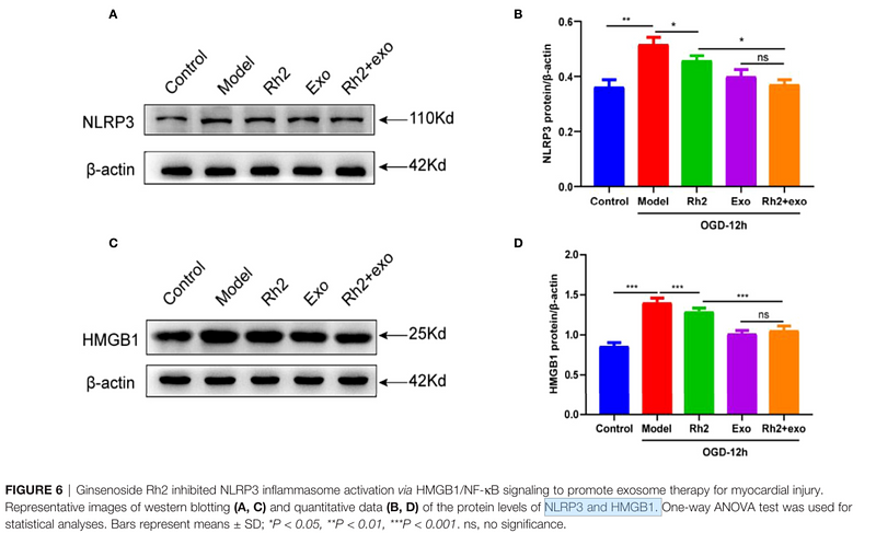 35865525 ET1610-93.png