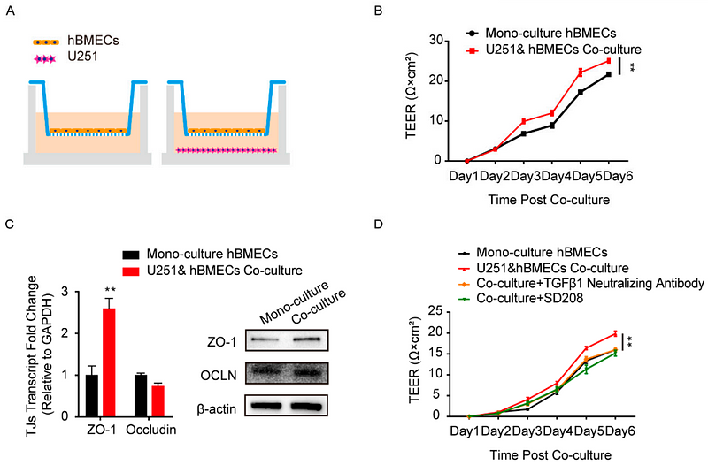 33430164 EM21002.png