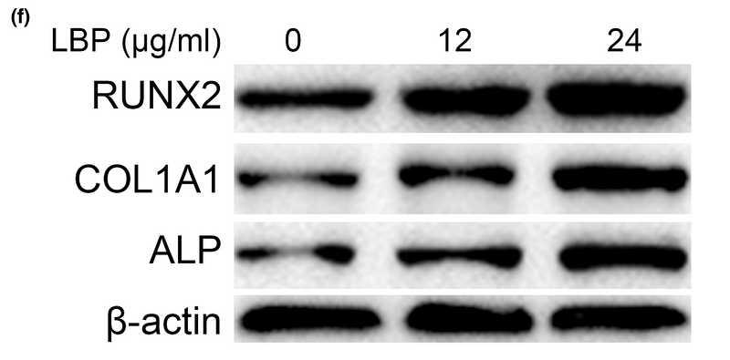 36250230 ET1601-68.png