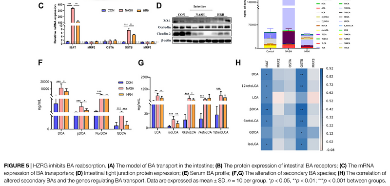 35721143 EM21002.png