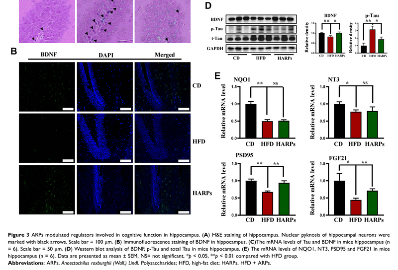 35762015 ET1603-2.png