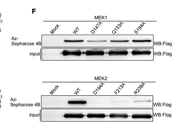 36284716 M1403-2.png