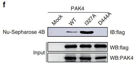 34912075 M1403-2.png