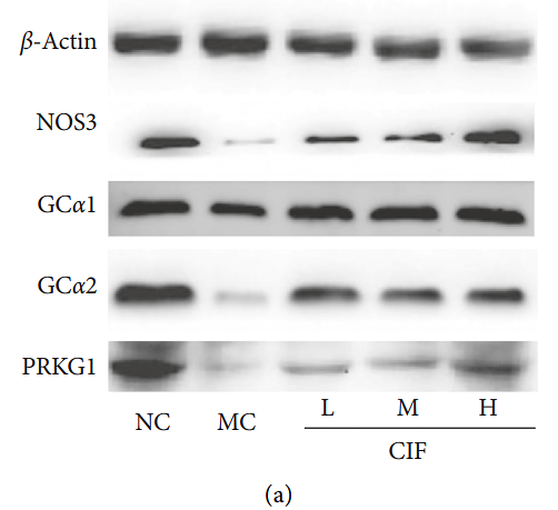 34055010 EM21002.png